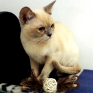 Лилиана