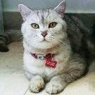 Фунт