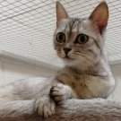 Моня 