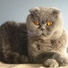Ричард