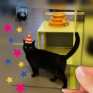 Черный Кот