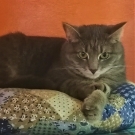 Марта
