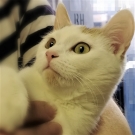 Мэй
