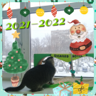 MyCollage_20211226104149279