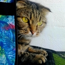 Марта