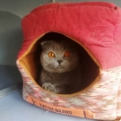 Мила