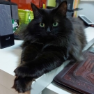 Аза