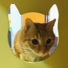 Кузя