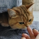 Бусина