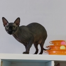 Митя