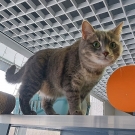 Марта