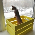 7.У окна