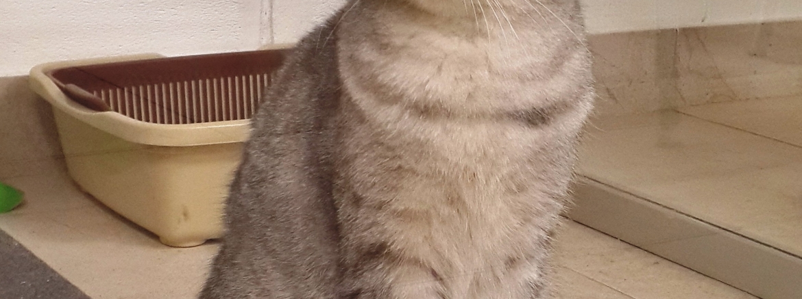 Кристина