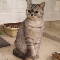 Дана