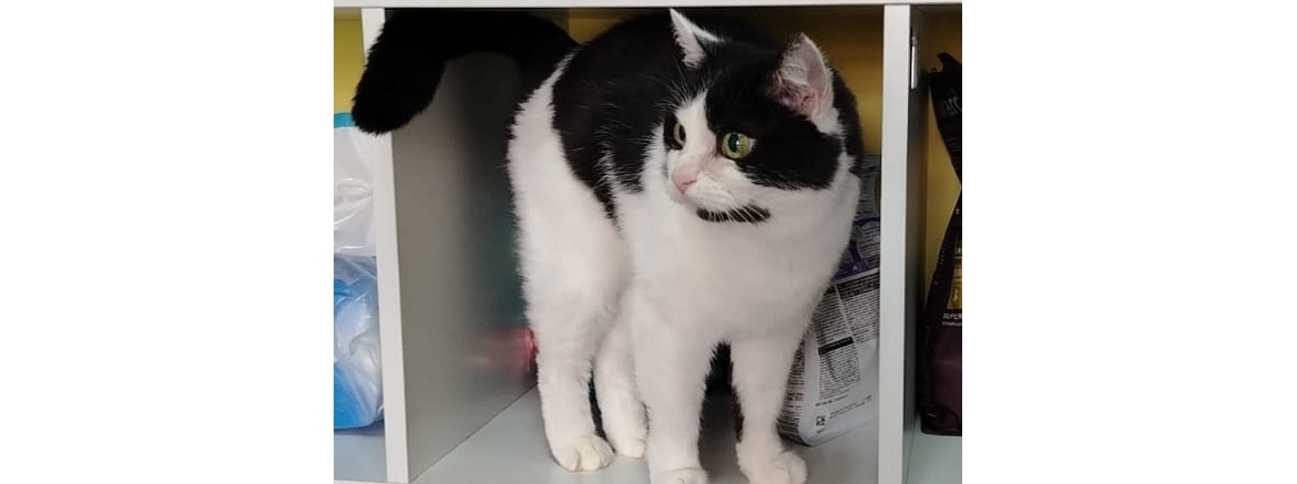 Олеся, сентябрь 2025