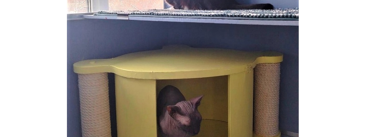 Евгения, январь 2026