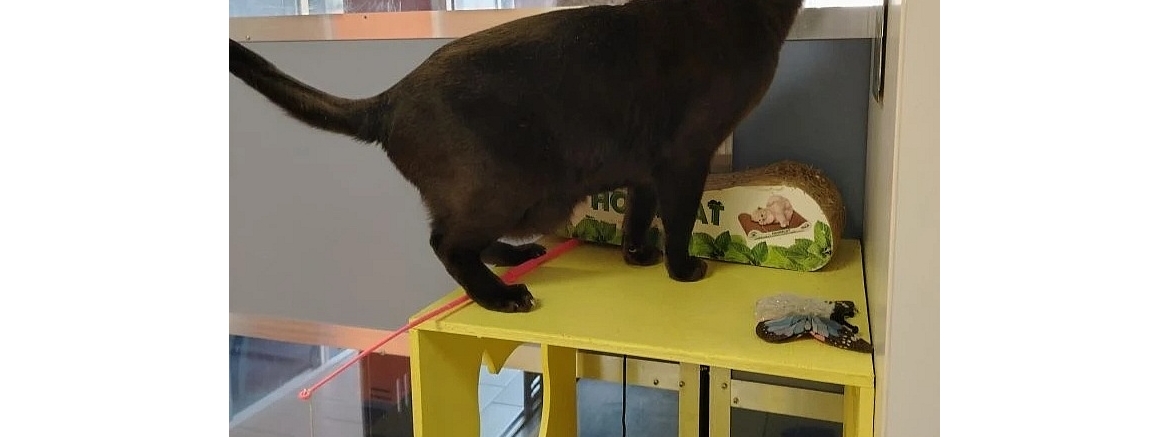 Анна и Максим, март 2026